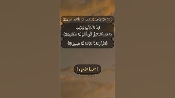 سورة الأنبياء الآية ٥٢ الى ٥٦ بصوت الشيخ محمد صديق المنشاوي