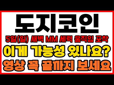 [도지코인] 5일(일) 새벽 MM 세력 움직임 포착 이게 가능성 있나요? 영상 꼭 끝까지 보세요