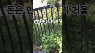 돈은 인간관계의 거울 불필요한 감정소비 줄이고 자신과의 약속 목돈을 모으는데 집중, 절약왕  목돈왕