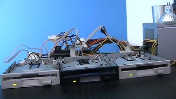 Floppy: Mortimer Twang - Mortimer