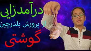 آیا میشه از بلدرچین گوشتی درآمدزایی کرد؟ | آموزش کسب درآمد از بلدرچین گوشتی | جدیدترین آموزش های2021