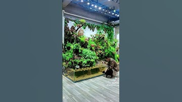 chăm hồ bán cạn  🏞️ #chill #relaxing #nature #lanscape #tiktok #haonguyen