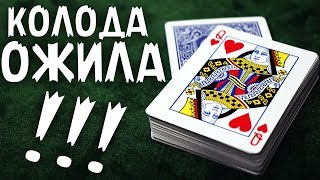 ЖИВАЯ КОЛОДА! ЛУЧШИЙ ФОКУС С КАРТАМИ / ОБУЧЕНИЕ ЖИВАЯ КОЛОДА! ЛУЧШИЙ ФОКУС С КАРТАМИ / ОБУЧЕНИЕ