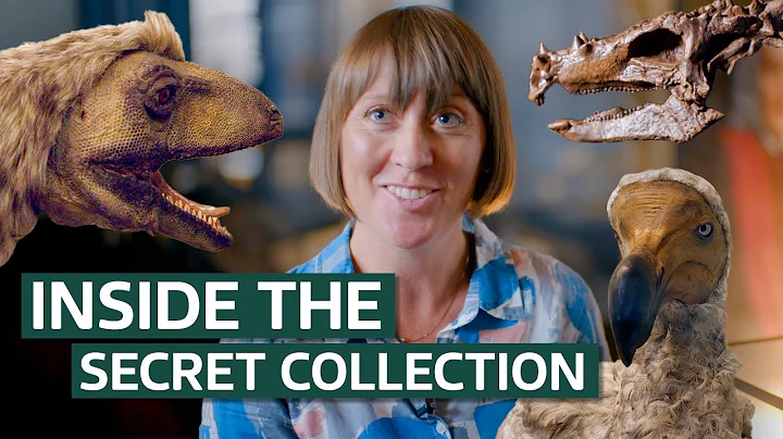 The Most Incredible Treasures in the Natural History Museum's Collection | Our History thumbnail