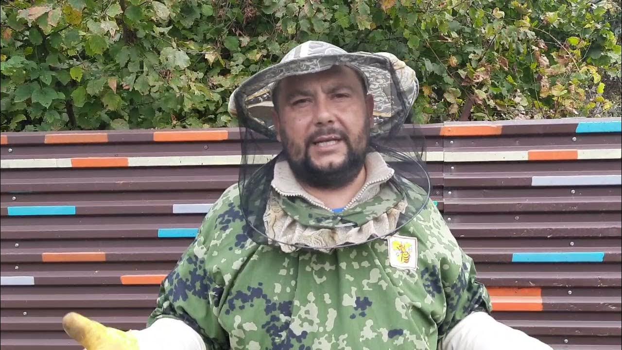 Пчеловоды братья марченко видео. Пчеловодство марченко. Пасека братьев марченко. Пасека на урале. Пчеловоды братья марченко видео.