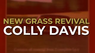 New Grass Revival - Colly Davis (Official Audio)