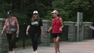 Rising tick populations bring health risks to Southern Tier