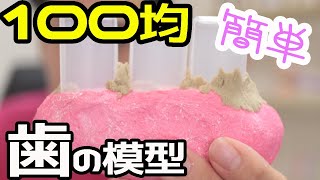 100円ショップのモノだけでできる歯の模型の作り方