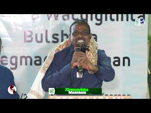 Xildhibaan Xaadoole Walaalkey Anaa Xiray Mana Lasoo Deynaayo Waayo Wuxuu Ka Mid Yahay Dadka