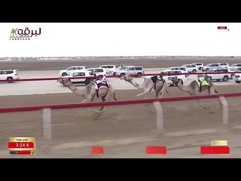 ش3 التماس لـ محمد خليفة محمد العميمي جائزة زايد الكبرى 24 11 2025م كأس الحقايق بكار إنتاج 5 47 29