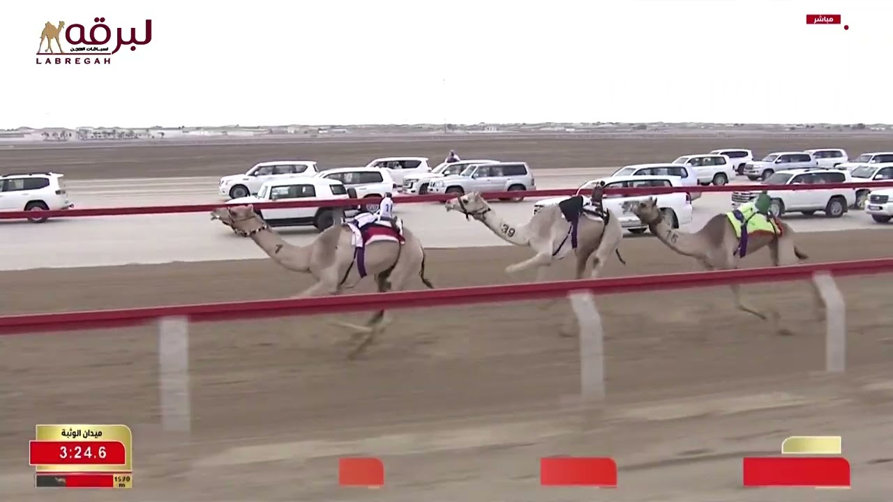 ش3 التماس لـ محمد خليفة محمد العميمي (جائزة زايد الكبرى 24-11-2025م) كأس الحقايق بكار إنتاج 5:47:29