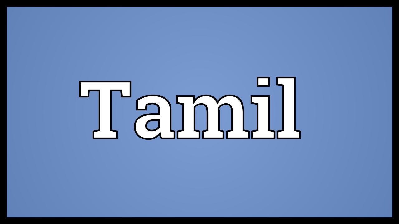 i am in travel meaning in tamil