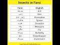 Animals Name in Farsi (Incects/حشره ها) #farsi #learnpersianonline