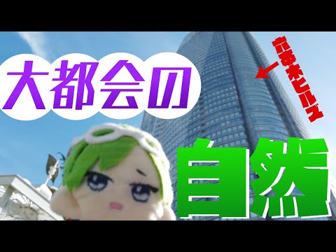 【夏】大都会でも自然を感じたい！【#透堂トキワ】
