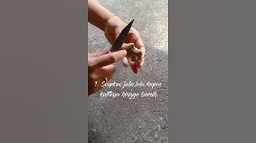 Tutorial Membuat Wedang Jahe Simple #marikitacoba