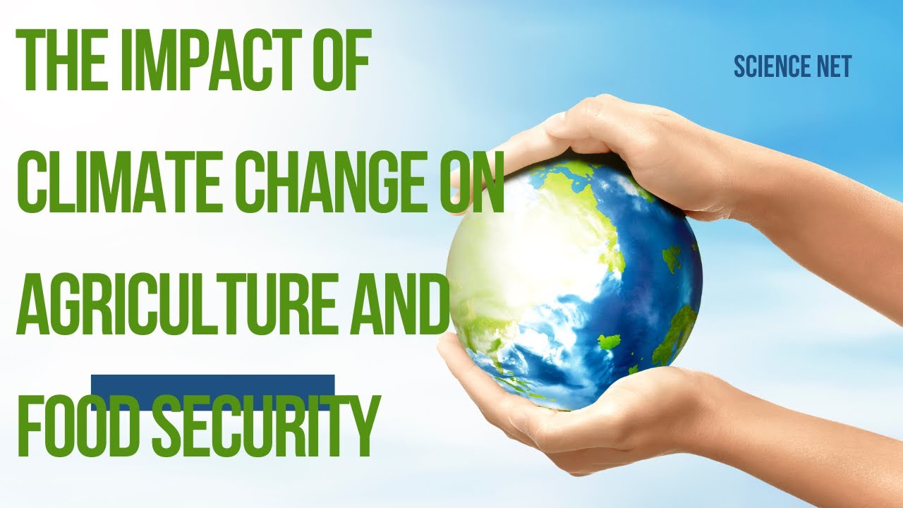 THE IMPACT OF CLIMATE CHANGE ON AGRICULTURE AND FOOD SECURITY - SCIENCE ...