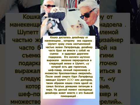 Самая большая любовь Дизайнера #знаменитости #жизненныеистории #интересно