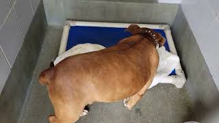 acs A664397