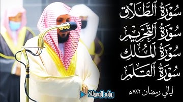 سورة"الطلاق،التحريم،الملك،القلم"بأداء راقي للشيخ ماهر المعيقلي من ليالي رمضان 1442ه‍ #روائع_المعيقلي
