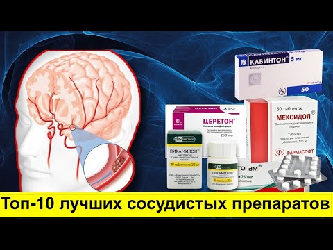 10 лучших препаратов для сосудов / Как улучшить кровообращение мозга?