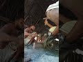 "Fire + Iron = Art 🔥"#Blacksmith #HardWork #IronArt #Craftsmanship #ViralShorts
