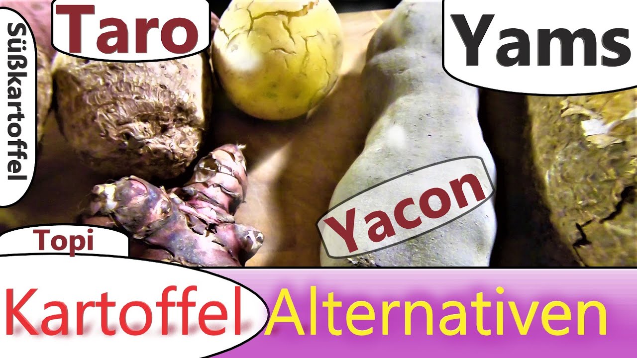 Kartoffel Alternativen Taro, Jams , Yacon, Topinambur, Süßkartoffeln im Test 2021