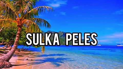 LAGU PNG TERBARU 2020 🌴 sulka peles 🌴(musik video)