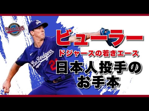 ロープトレーナー レジースミス 野球 投手 （ロープトレーナー