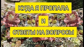 Куда я пропала и ответы на ваши вопросы.