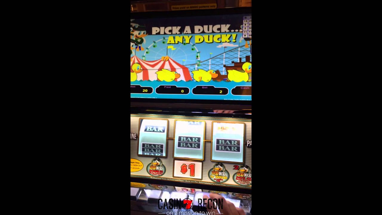 duck casino контакты