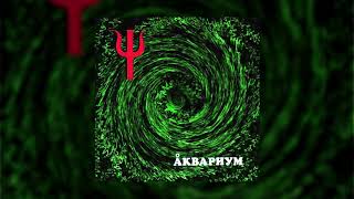 Video thumbnail of "Аквариум - Пока несут саке"