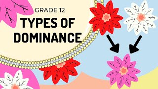 EASY TO UNDERSTAND| Types of Dominance |GENETICS