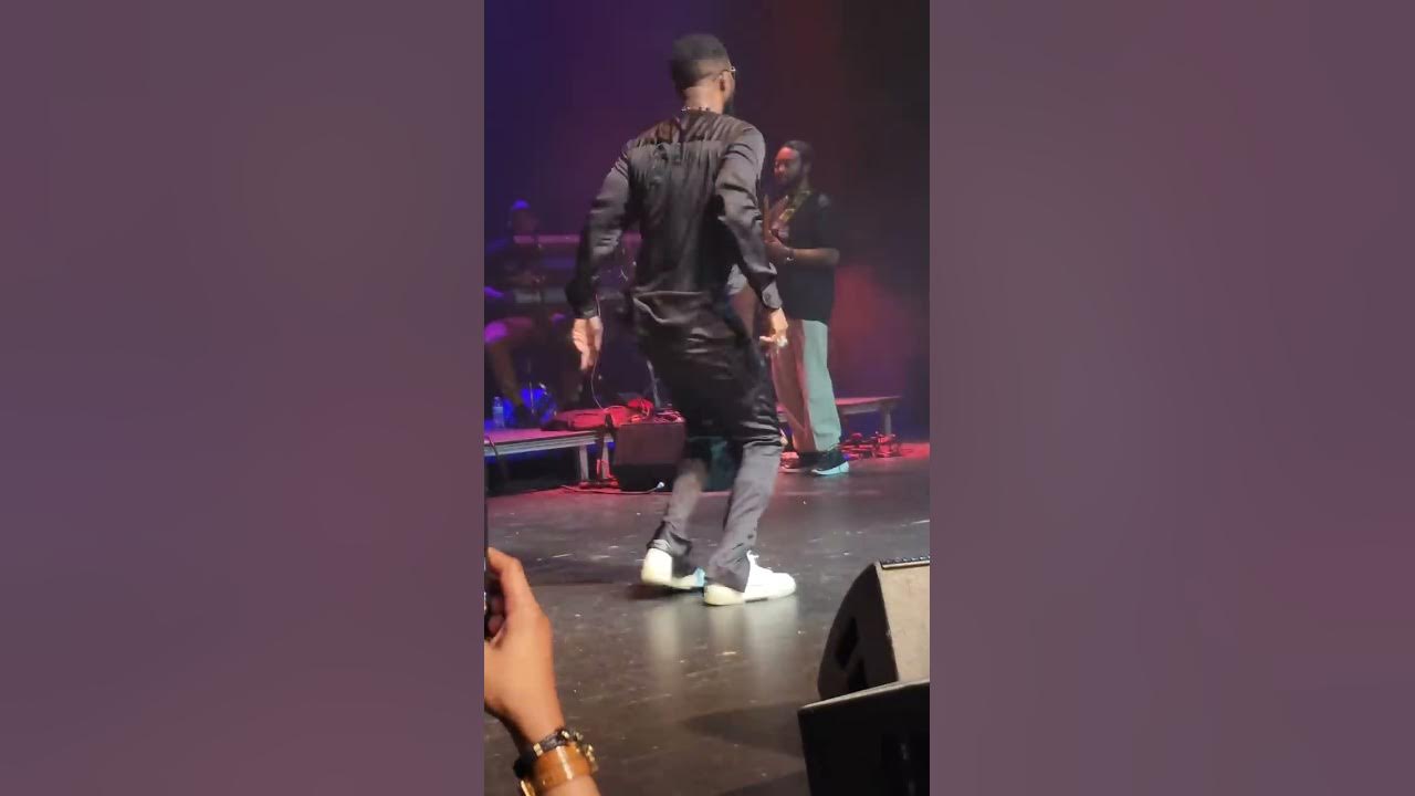 Fally Ipupa Live In Washington DC|2022