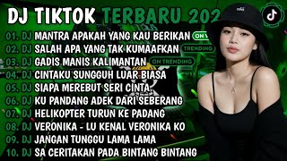 DJ TIKTOK TERBARU 2026 | DJ MANTRA APAKAH YANG KAU BERIKAN🎵DJ SALAH APA YG TAK KUMAAFKAN🎵FULL ALBUM