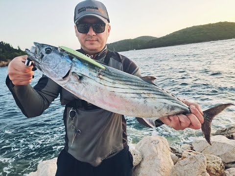 Huge Bonito  On Zip Baits ZBL System Minnow 139S Abile!