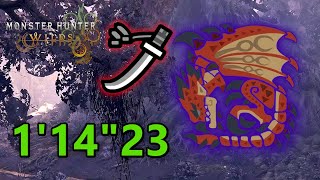 Tempered Rathalos Speedrun Longsword Monster Hunter Wilds Tempered Rathalos Speedrun Longsword Monster Hunter Wilds