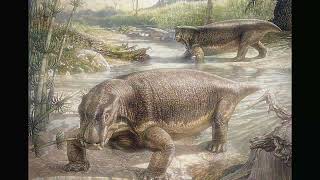 Early triassic period core. 