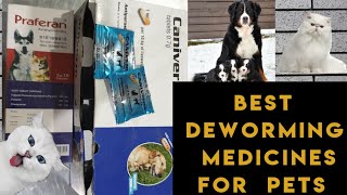 Cat & Dog dewarmer / Pets Best Dewarming medicines /Deworming in kittens and cat's / Dr. Hira Saeed