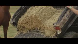 Segway Fugleman Ut10 Crew