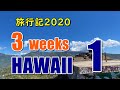 【4K】ハワイ旅行記2020＃1：大変だった入国審査と1年ぶりのワイキキを歩いてチェック