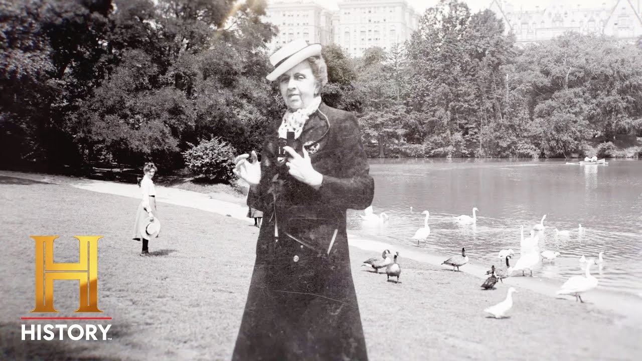 Film backdrop image for More to History: The New York Socialite Who Saved the Birds (2025)