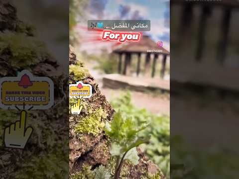 أليس حراما أن يهدم هذا المكان إن أجمل من الرائعة انظر بعينك أوروبا    ترند