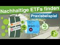 Nachhaltige ETFs finden (2021): Nachhaltig investieren mit ETFs in der Praxis (für Anfänger)