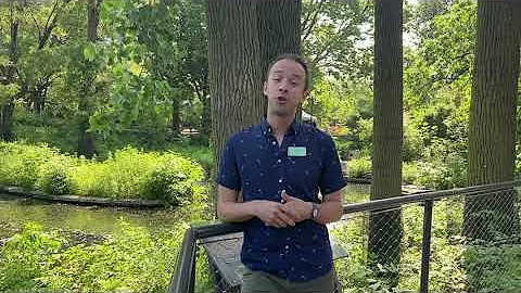 AZA PMC: Non-binary Reproduction in the Animal Kingdom