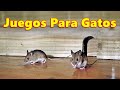 Juegos Para Gatos - Atrapa a los Ratones ~ Ratón en el agujero 🐭