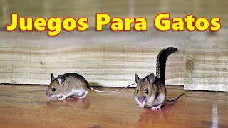 Juegos Para Gatos - Atrapa a los Ratones ~ Ratón en el agujero 🐭