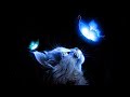 How to Glowing Effect Fantasy Photo Manipulation Photoshop Tutorial