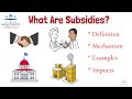 Understanding Subsidies in Global Trade