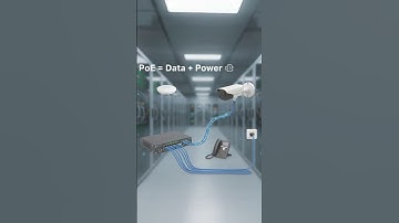 Network Switch Explained | Best Network Setup for UAE Offices & Shops