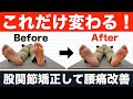 【股関節ストレッチ】股関節をゆるゆるに柔らかくして、腰痛や坐骨神経痛を改善する股関節矯正法